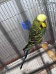 IMG_5072.jpeg
