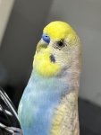 IMG_8461.jpeg