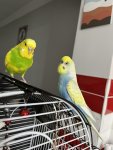 IMG_8457.jpeg