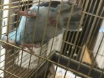 IMG_5122.jpeg