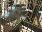 IMG_5121.jpeg