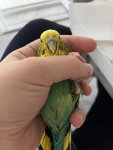 IMG_2594.jpeg