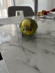 IMG_2597.jpeg