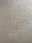 IMG_0832.jpeg