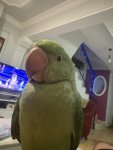 IMG_9601.jpeg