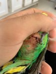 WhatsApp Görsel 2025-07-17 saat 00.33.53_e1c3d63b.jpg WhatsApp Görsel 2025-07-17 saat 00.33.53_e1c3d63b.jpg