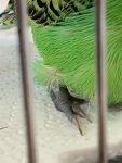 IMG_0755.jpeg