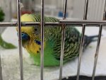 IMG_0762.jpeg