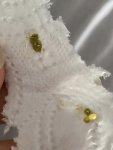 IMG_8291.jpeg