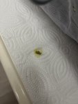 IMG_7119.jpeg