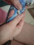20250720_135208.jpg