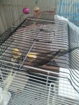 IMG-20250720-WA0026.jpg
