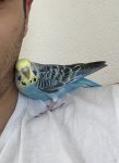 IMG_1120.jpeg