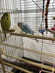 IMG_8305.jpeg