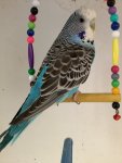 IMG_3891.jpeg