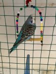 IMG_3890.jpeg