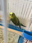 IMG_3889.jpeg