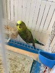 IMG_3888.jpeg