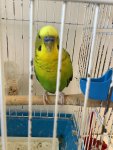 IMG_3887.jpeg