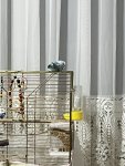 IMG_8092.jpeg