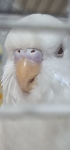 Screenshot_20250725_172743_Gallery.png
