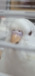Screenshot_20250725_172811_Gallery.png