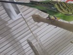 20250726_015754.jpg