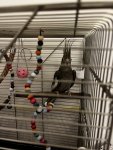 IMG_0083.jpeg