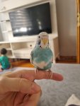 20250731_172442.jpg