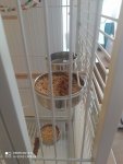 IMG_20250731_084938.jpg