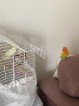 IMG_0462.jpeg