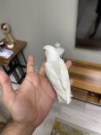 IMG_2139.jpeg