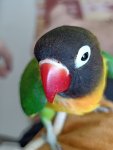 IMG_20250804_123845.jpg