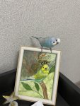 IMG_8943.jpeg