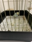 IMG_2701.jpeg