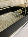 IMG_2703.jpeg