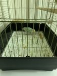 IMG_2704.jpeg