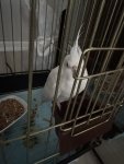 IMG_0029.jpeg