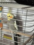 IMG_0888.jpeg