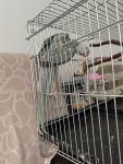 IMG_1984.jpeg