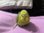 IMG_0049.jpeg