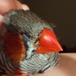 IMG_20250811_091633.jpg IMG_20250811_091633.jpg