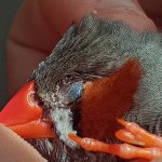 IMG_20250811_091719.jpg IMG_20250811_091719.jpg