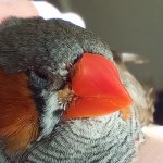 IMG_20250811_091616.jpg IMG_20250811_091616.jpg