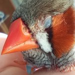 IMG_20250811_091526.jpg IMG_20250811_091526.jpg