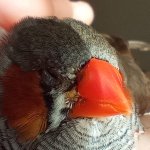 IMG_20250811_091623.jpg IMG_20250811_091623.jpg