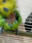 IMG_20250812_223104.jpg