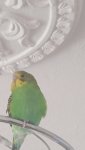 IMG_20250813_120920.jpg
