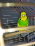 IMG_20250813_225552.jpg