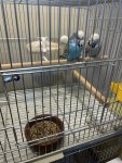 IMG_8807.jpeg